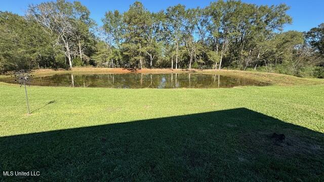 2719 Harperville Road Forest, MS 39074 - Photo 6 of 31 IMG_1129