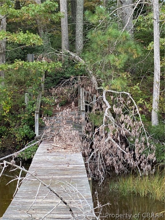 0 Myer Creek Road Lancaster, VA 22503 - Photo 6 of 18