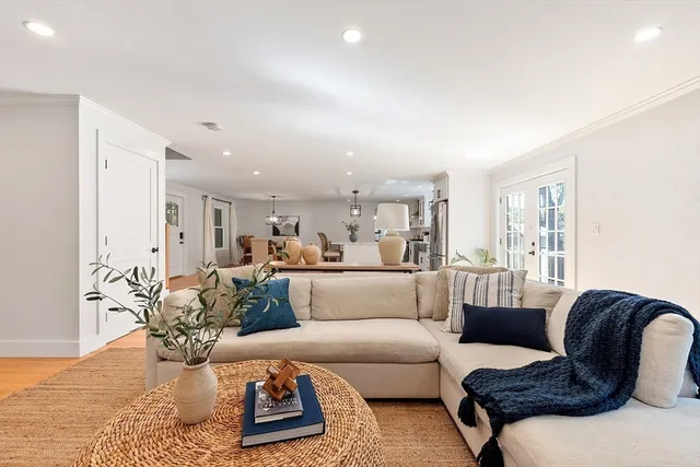 a living room with furniture or couch and a potted plant