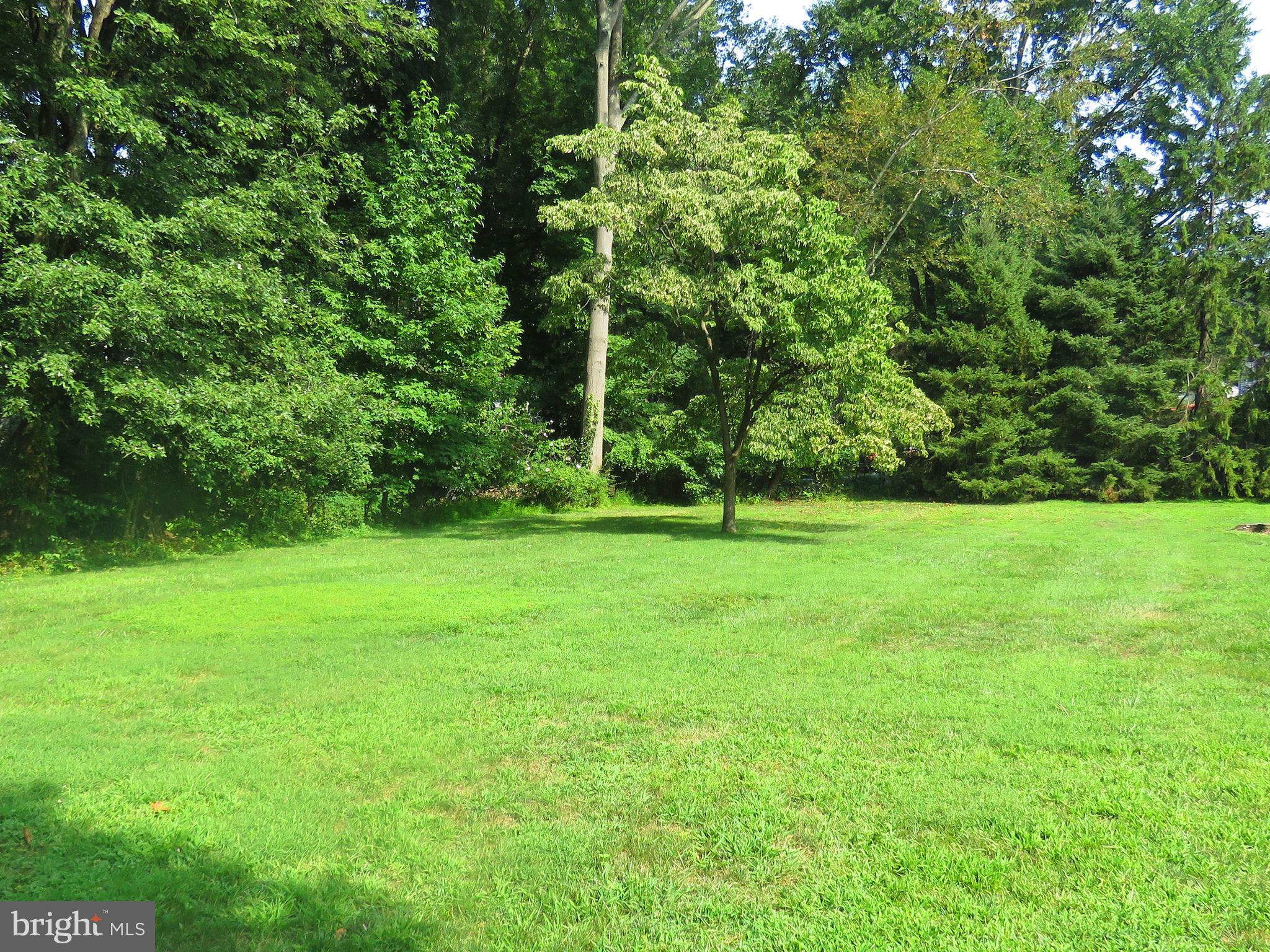 287 Forrest Road Yardley, PA 19067 - Photo 9 of 9 Back Yard View
