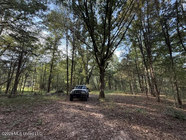 Wildcat Bottom Road Red Banks, MS 38661 - Photo 5 of 17 BACK OF PROPERTY