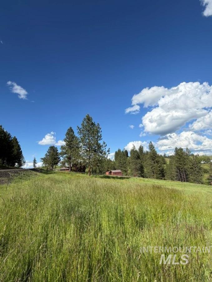 119 Beaver Hill Road Kamiah, ID 83536 - Photo 36 of 48