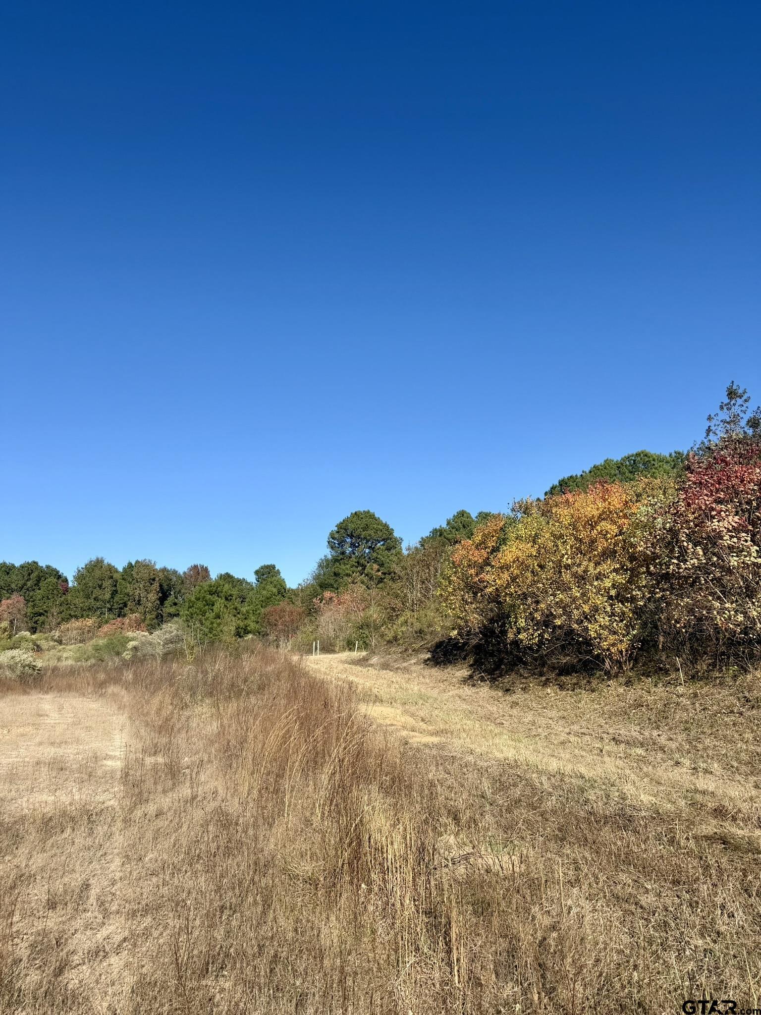 0 SW Loop Carthage, TX 75633 - Photo 12 of 18 a view of mountain with lake view