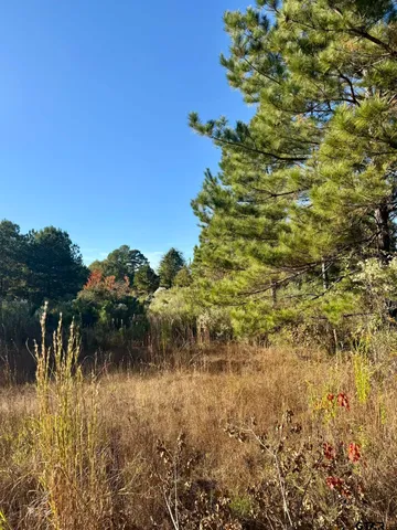 a view of a large yard with lots of green space