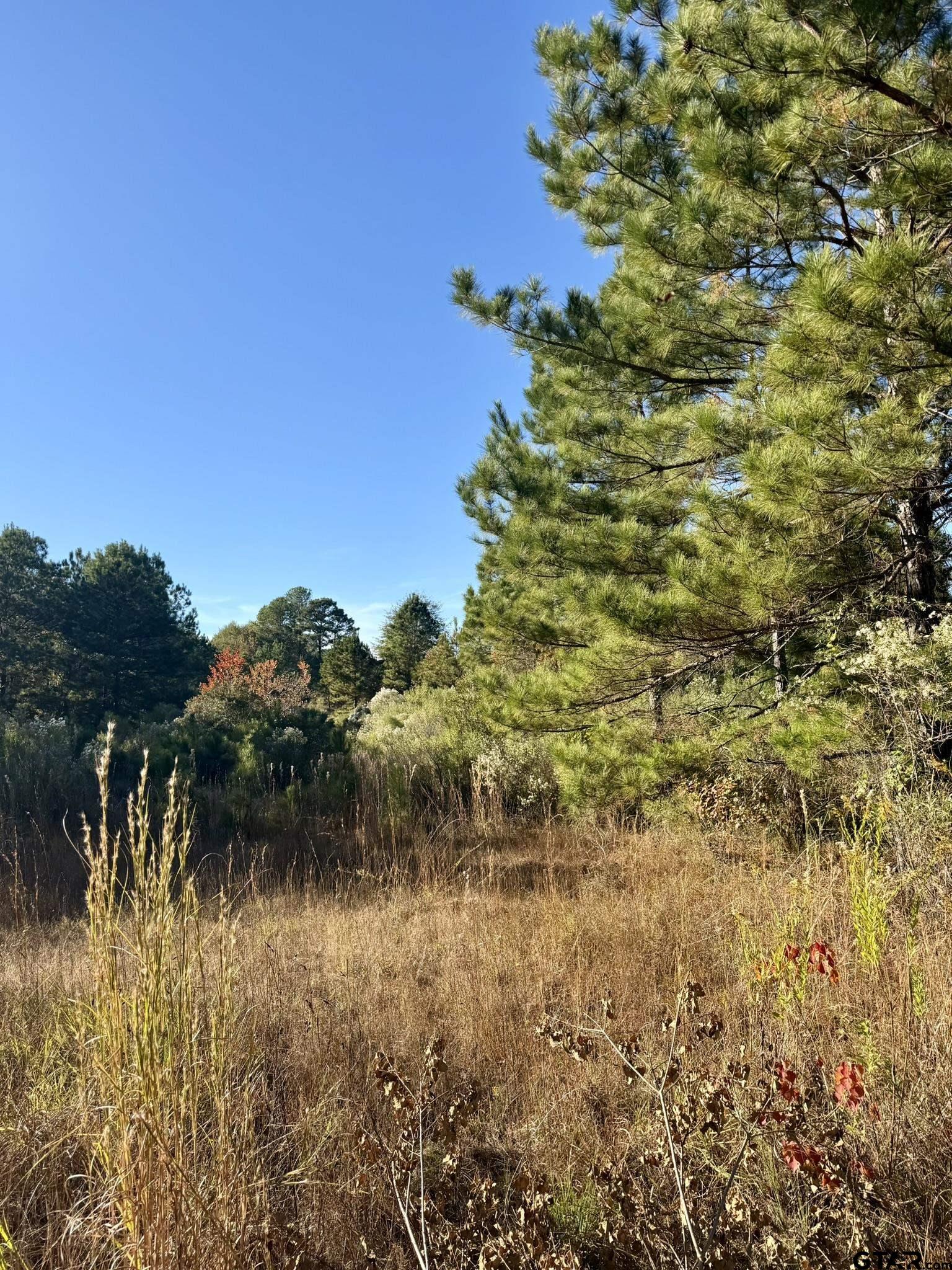 0 SW Loop Carthage, TX 75633 - Photo 15 of 18 a view of a lake