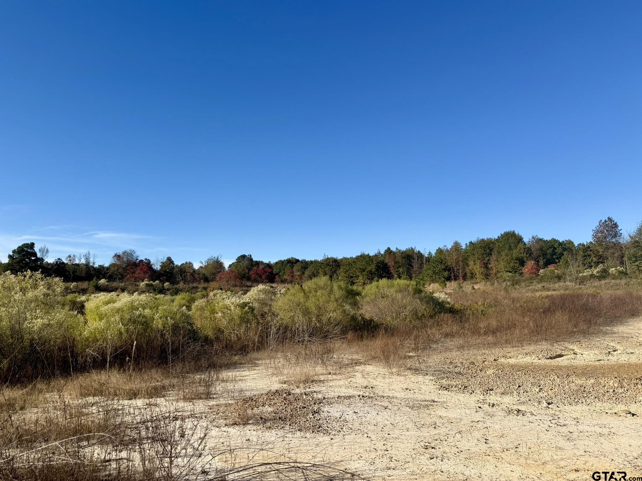 0 SW Loop Carthage, TX 75633 - Photo 8 of 18 a view of lake and mountain
