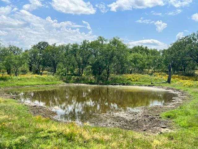 7785 Ranch Road 2241 Bluffton, TX 78607 - Photo 16 of 47 Gallery Image 16