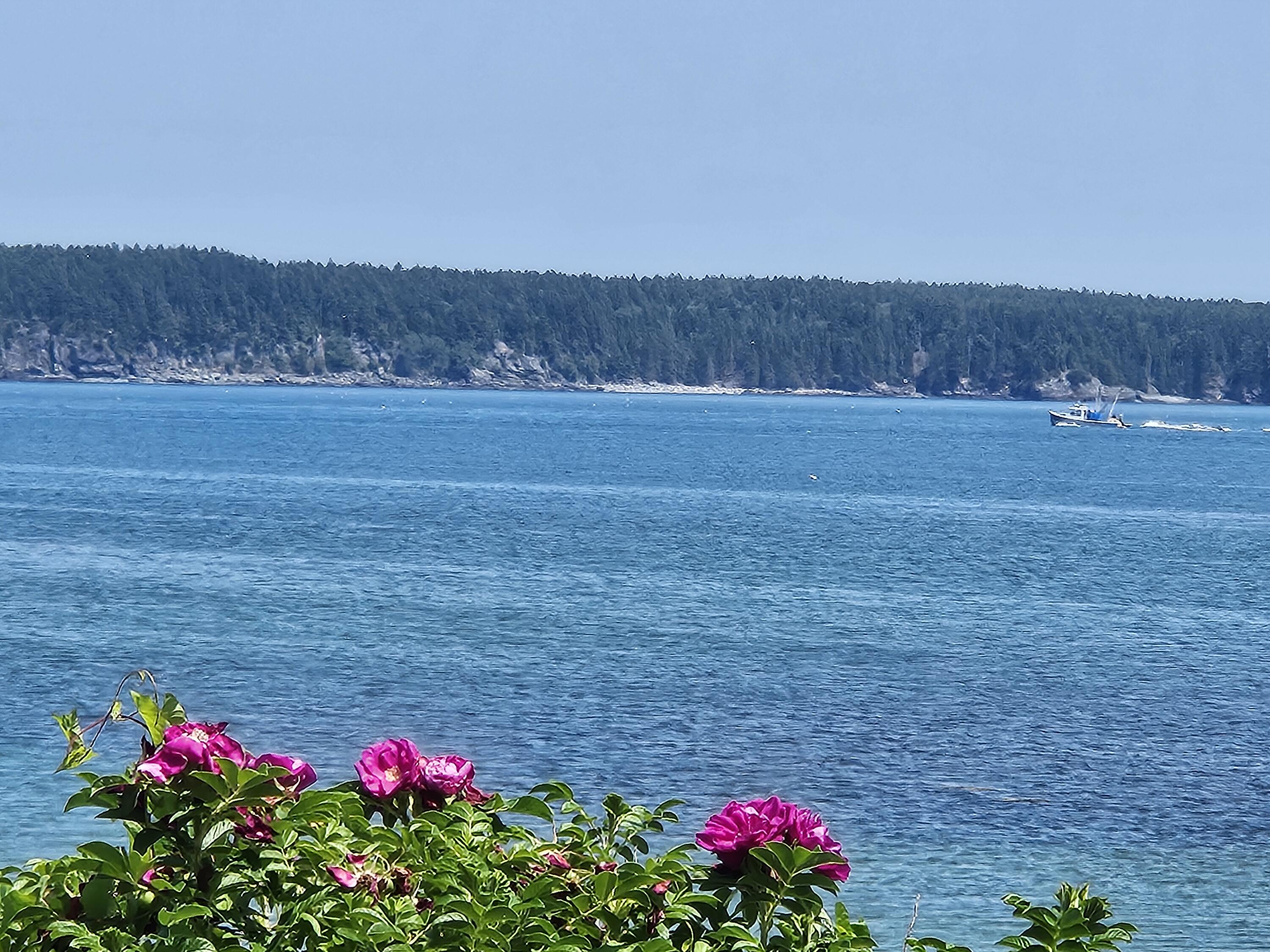 541 Mason Bay Road Jonesport, ME 04649 - Photo 89 of 92