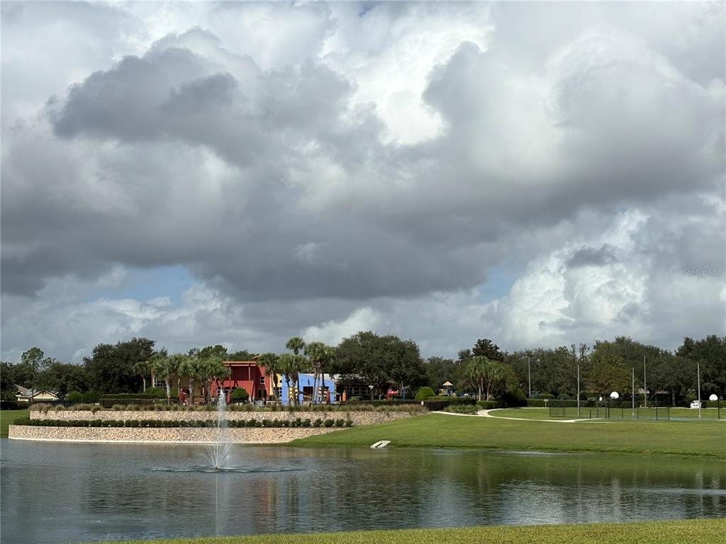 3921 Southwest 58th Avenue Ocala, FL 34474 - Photo 30 of 31 a view of swimming pool and trees in the background