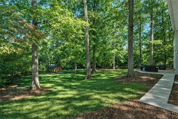 a view of a park with a tree