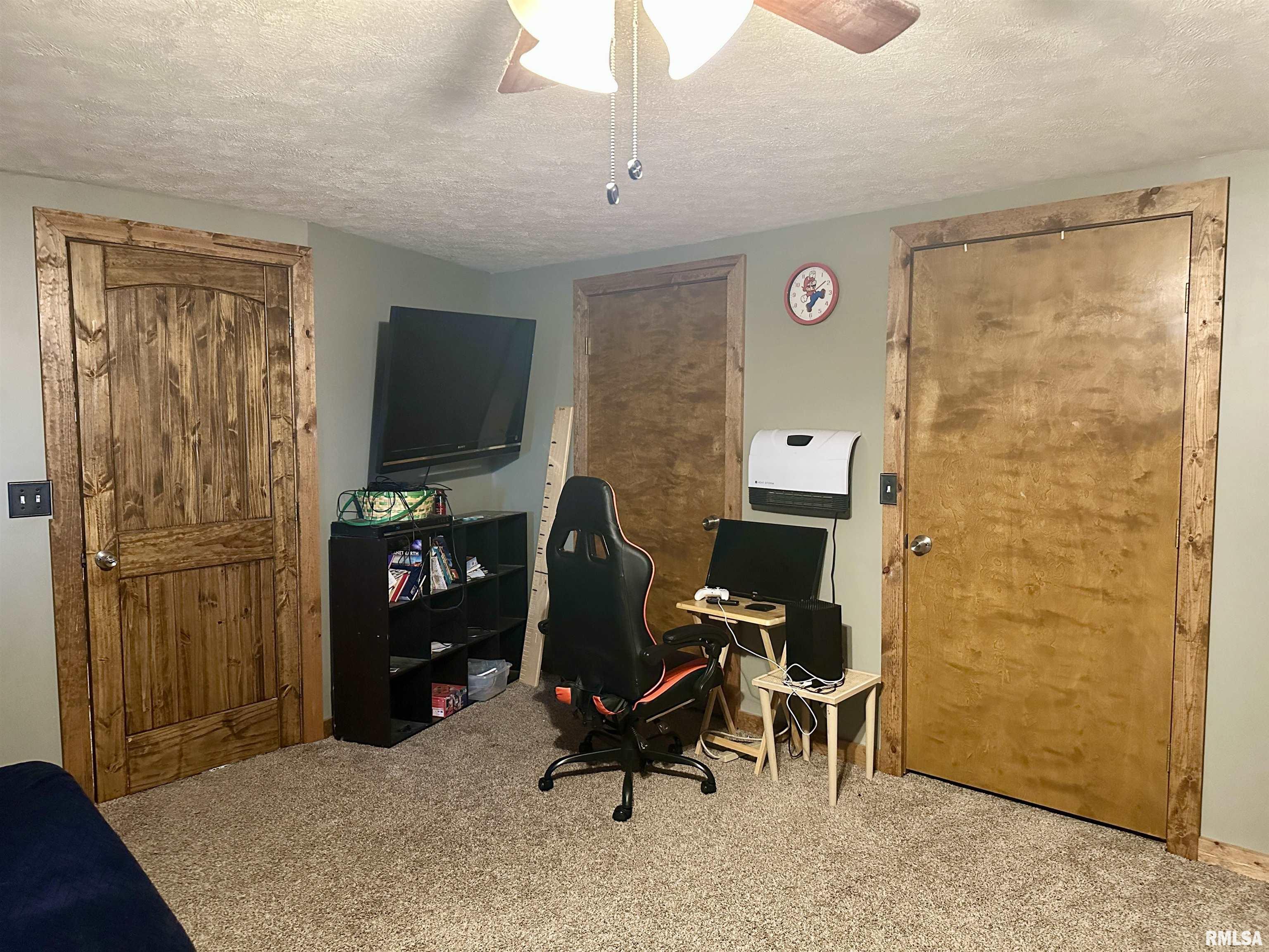 1640 Old Highway 67 Chapin, IL 62628 - Photo 49 of 82