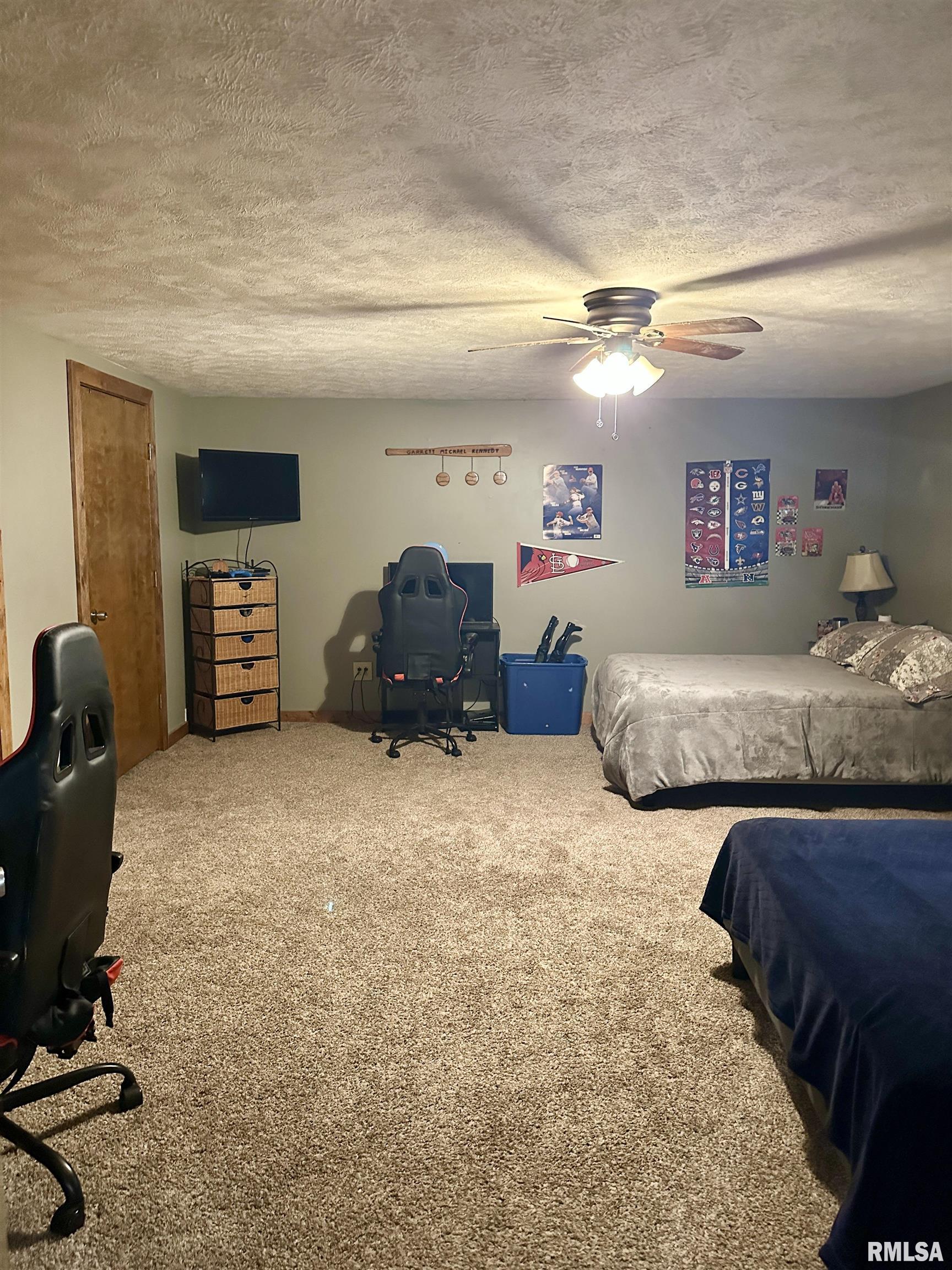 1640 Old Highway 67 Chapin, IL 62628 - Photo 51 of 82