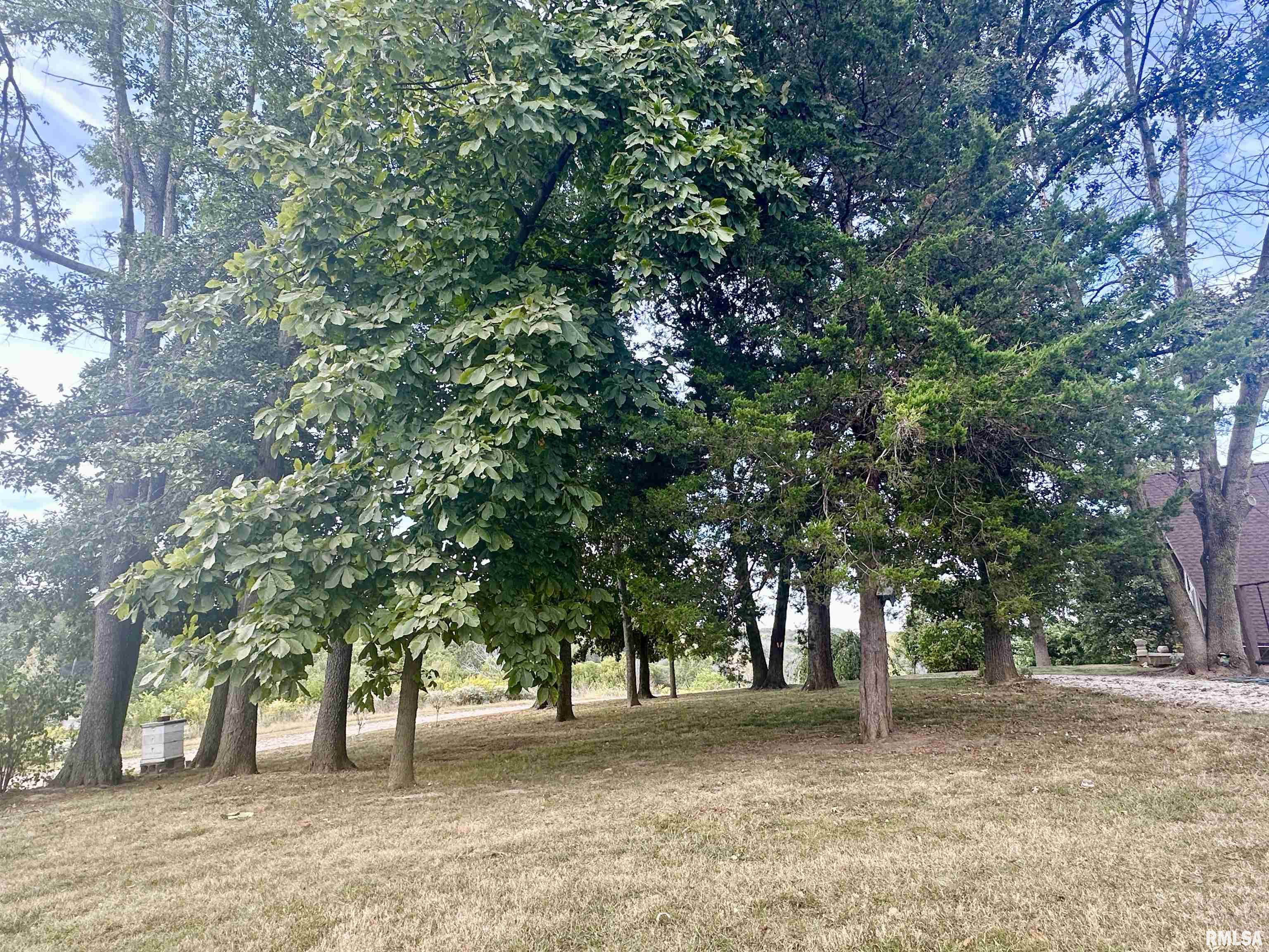 1640 Old Highway 67 Chapin, IL 62628 - Photo 65 of 82