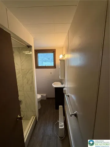 a bathroom with a shower and a sink