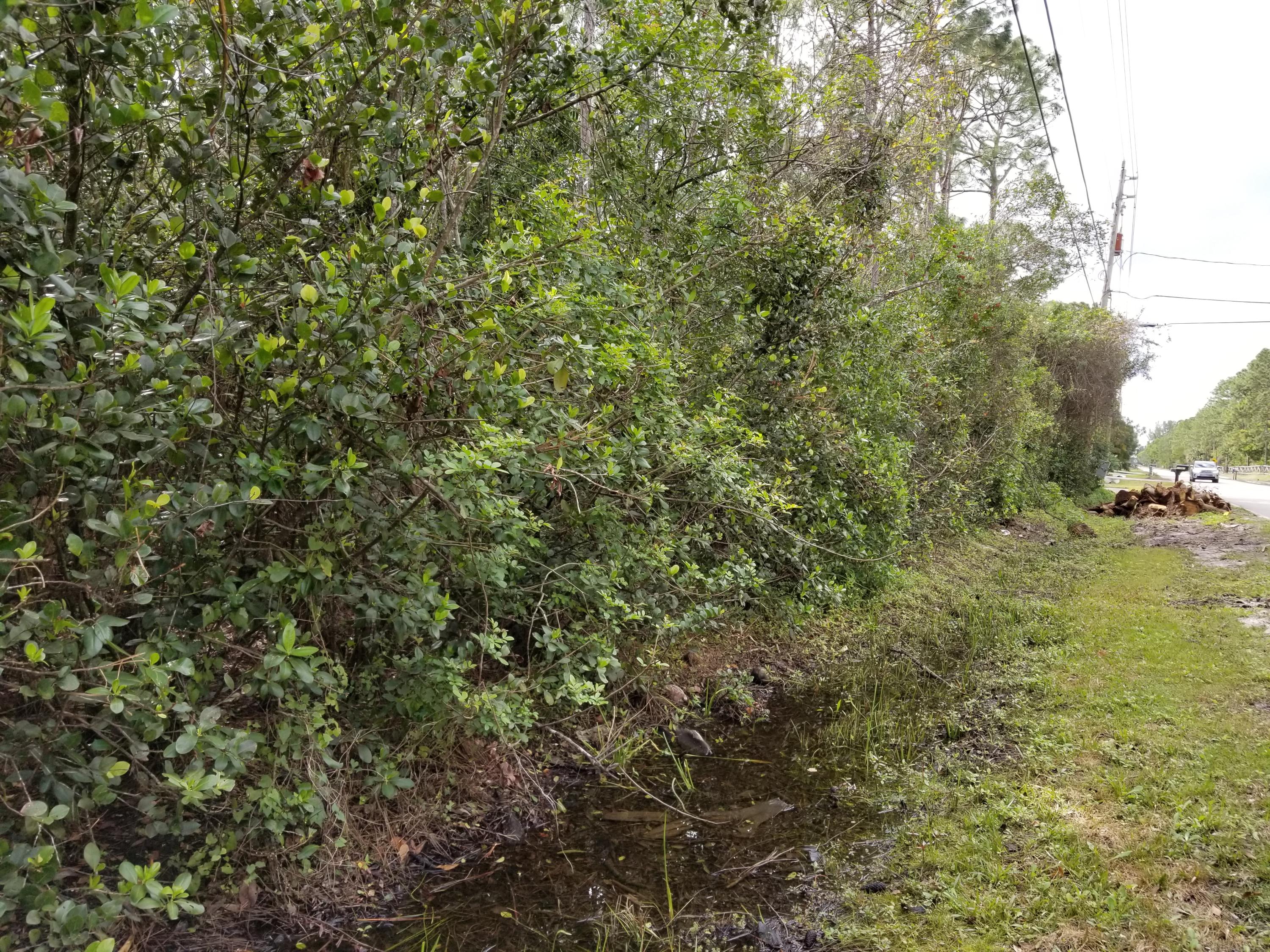 Xx Sandy Run Road Jupiter, FL 33478 - Photo 1 of 3 a view of a large yard with lots of bushes