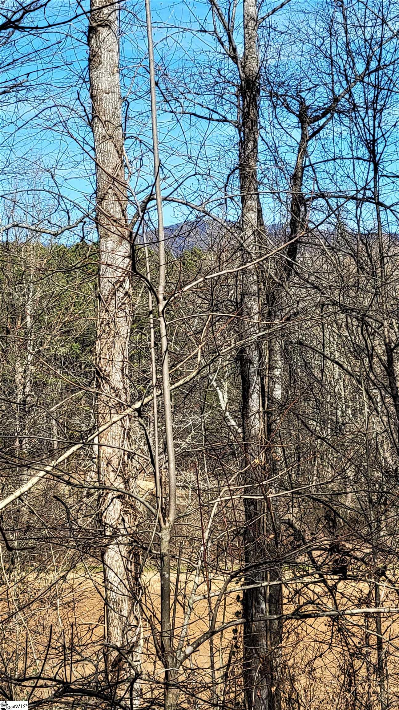 208 Wedge Way Travelers Rest, SC 29690 - Photo 11 of 23 Winter View