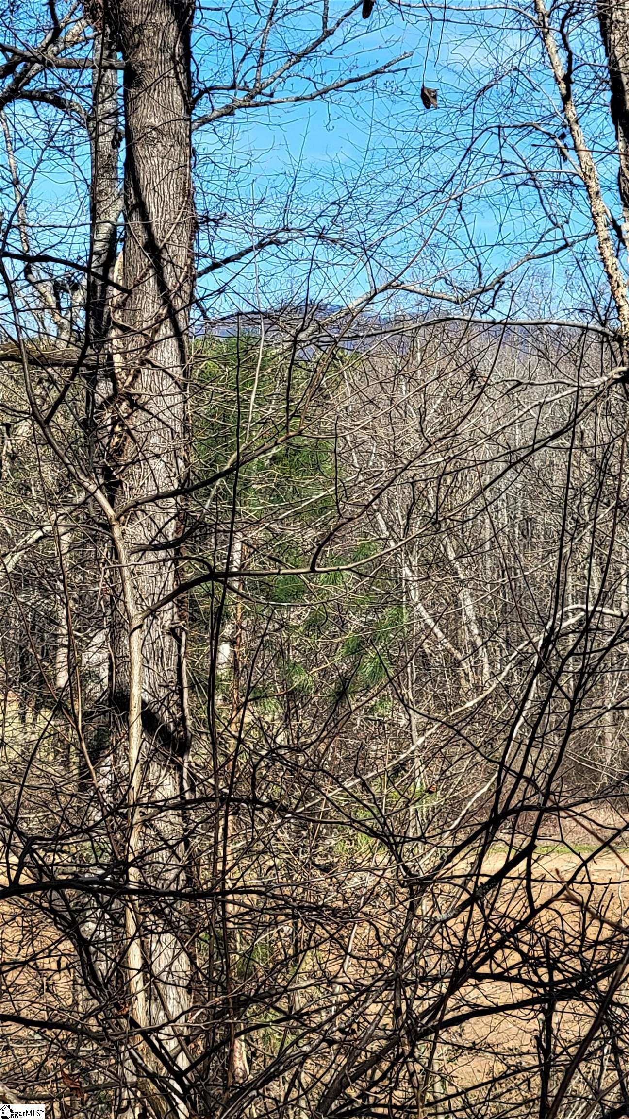 208 Wedge Way Travelers Rest, SC 29690 - Photo 12 of 23 Winter View