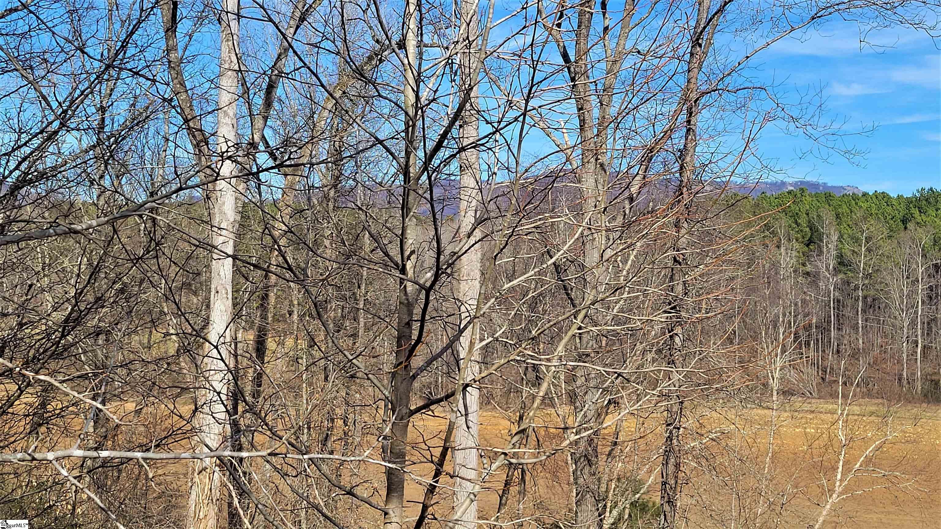 208 Wedge Way Travelers Rest, SC 29690 - Photo 13 of 23 Winter View