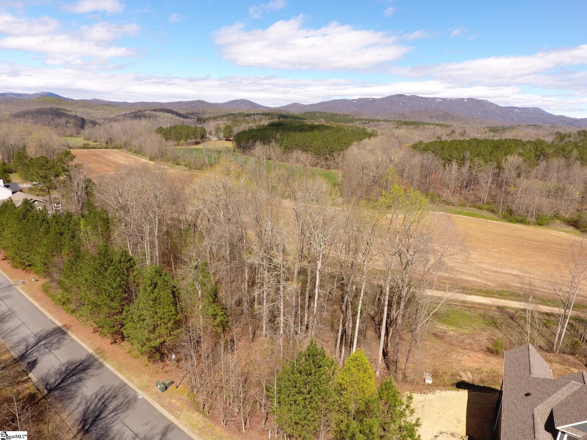 208 Wedge Way Travelers Rest, SC 29690 - Photo 2 of 23