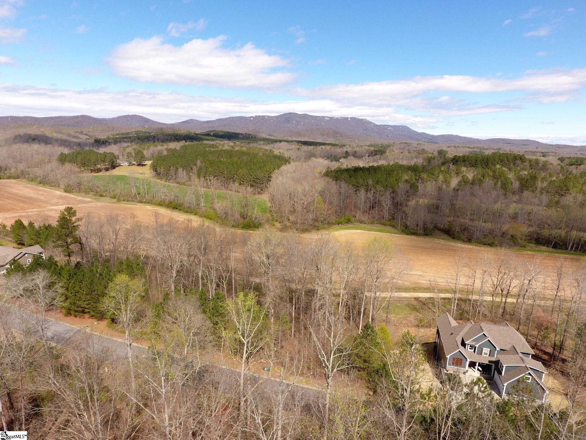 208 Wedge Way Travelers Rest, SC 29690 - Photo 21 of 23