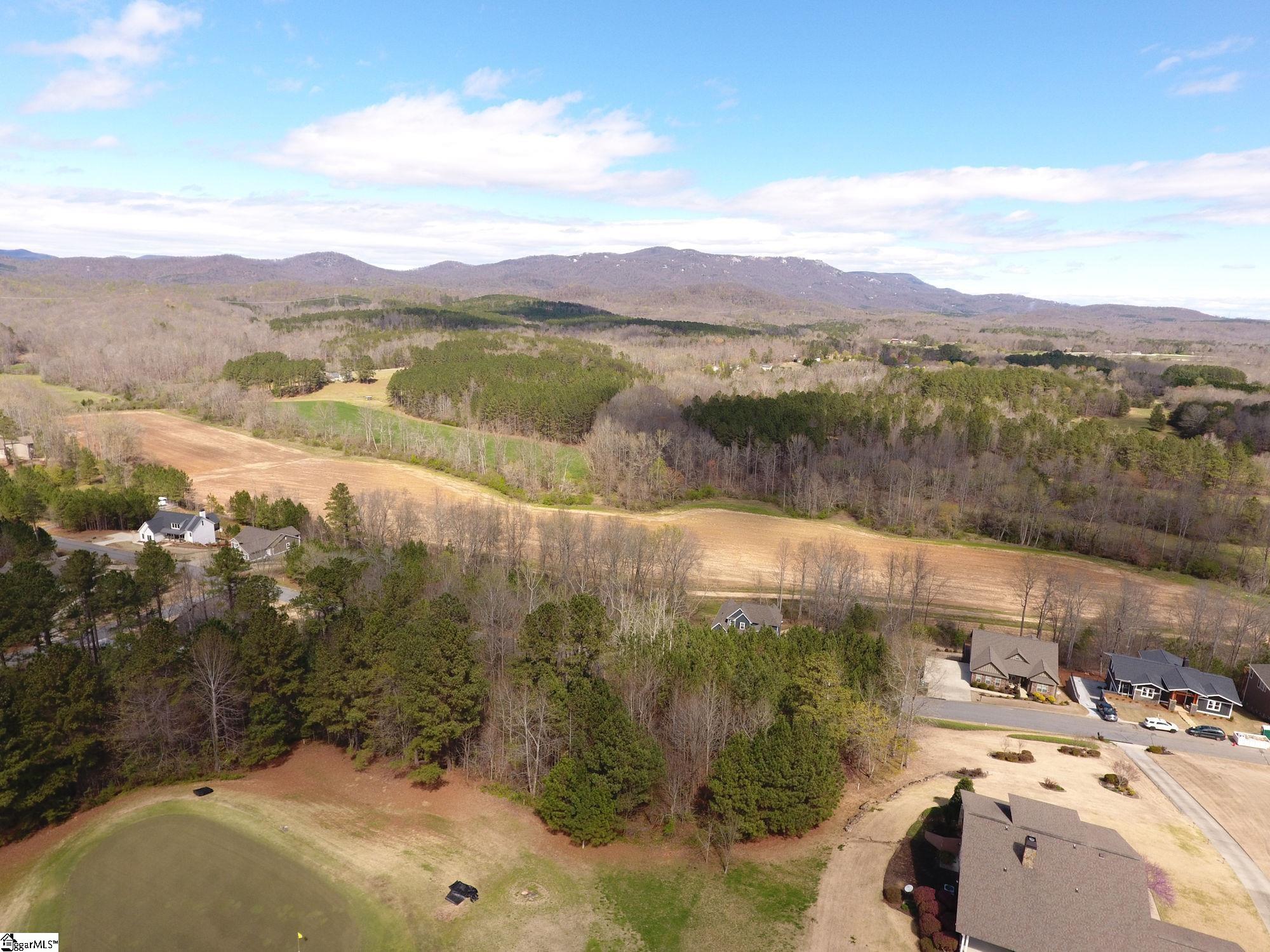 208 Wedge Way Travelers Rest, SC 29690 - Photo 23 of 23