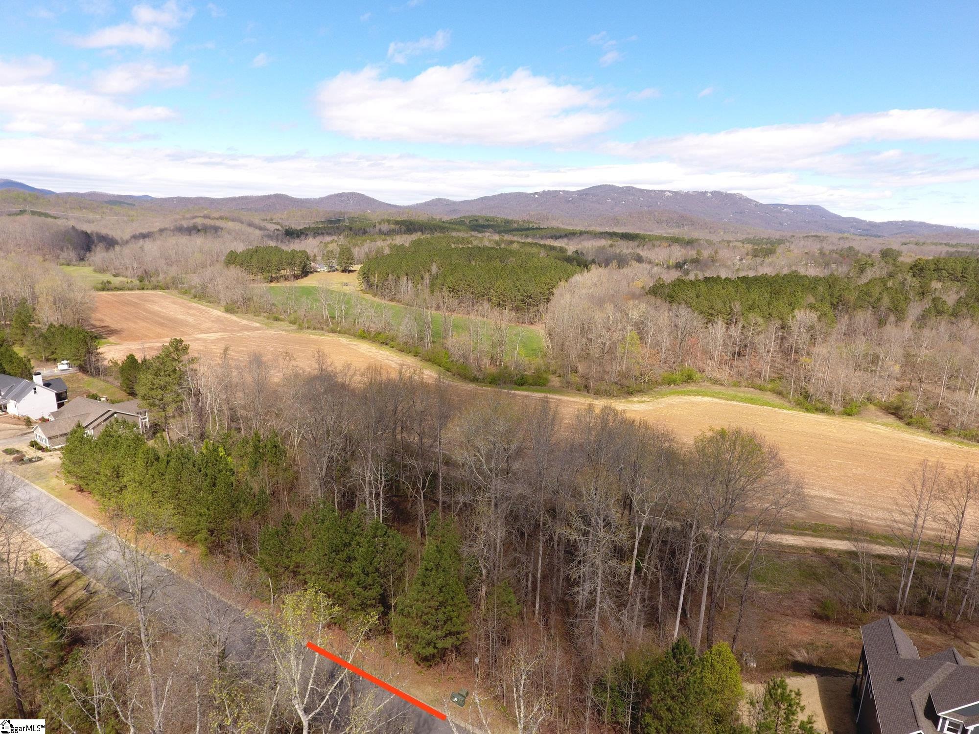 208 Wedge Way Travelers Rest, SC 29690 - Photo 3 of 23