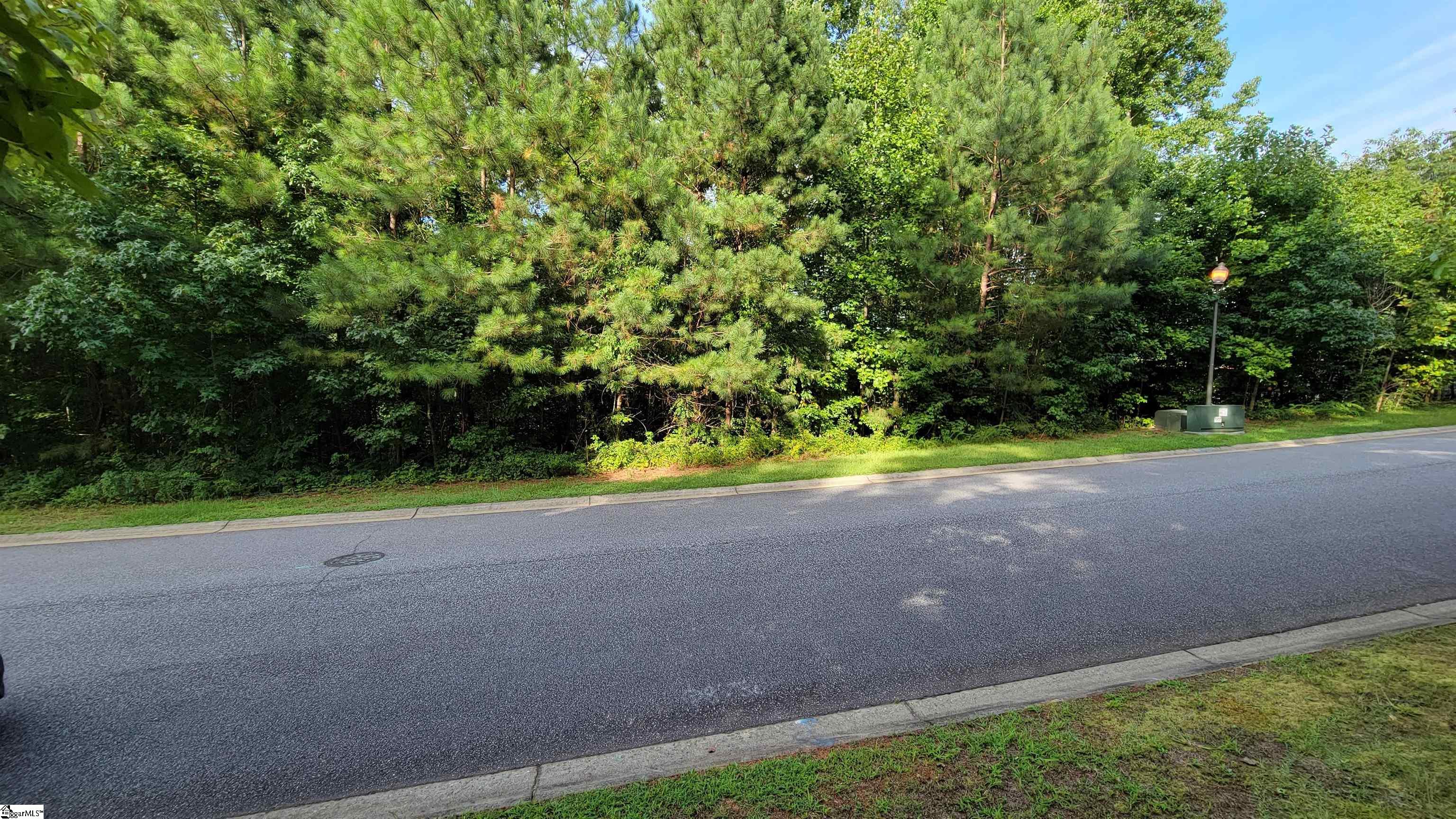 208 Wedge Way Travelers Rest, SC 29690 - Photo 4 of 23