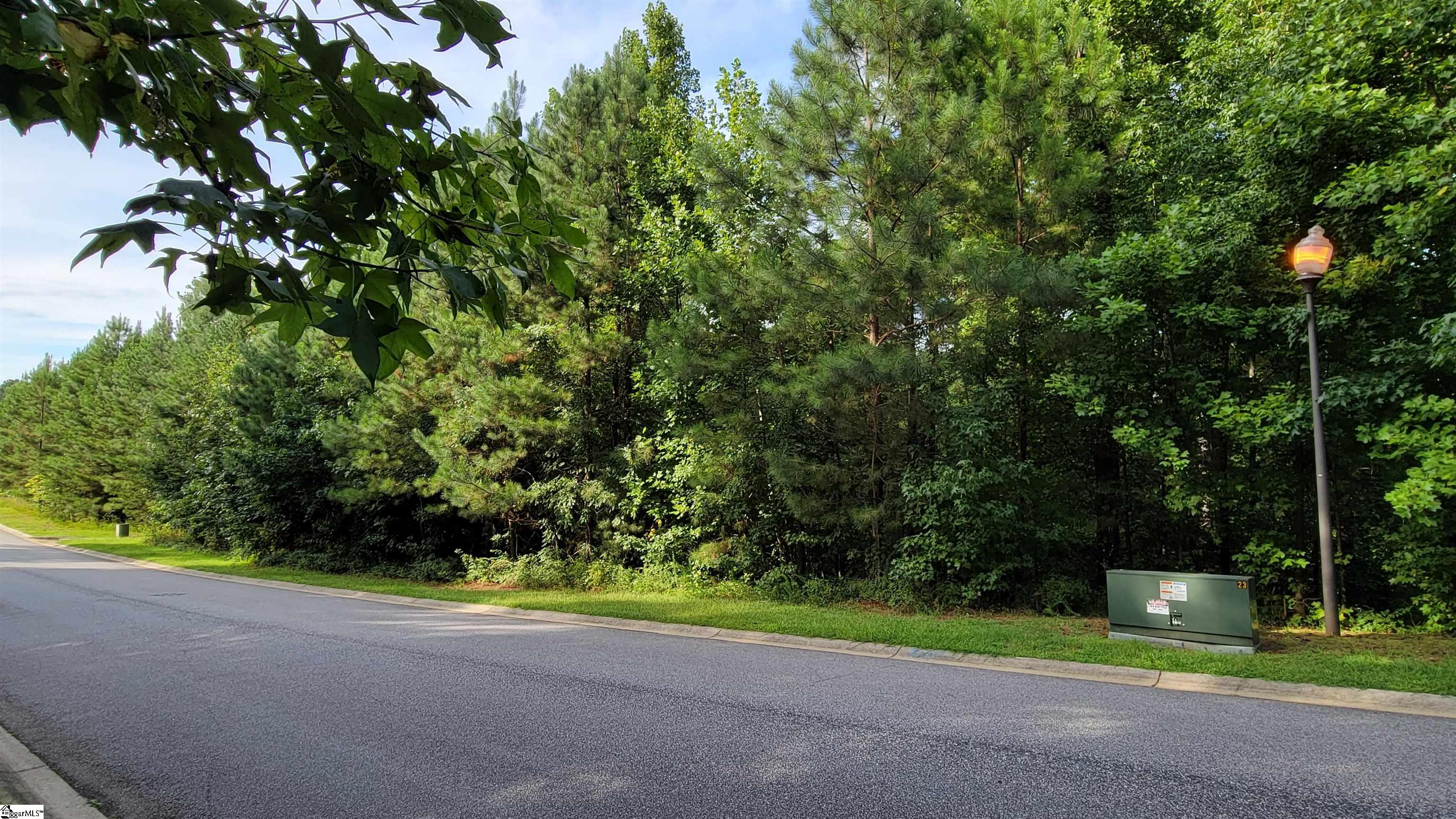 208 Wedge Way Travelers Rest, SC 29690 - Photo 5 of 23