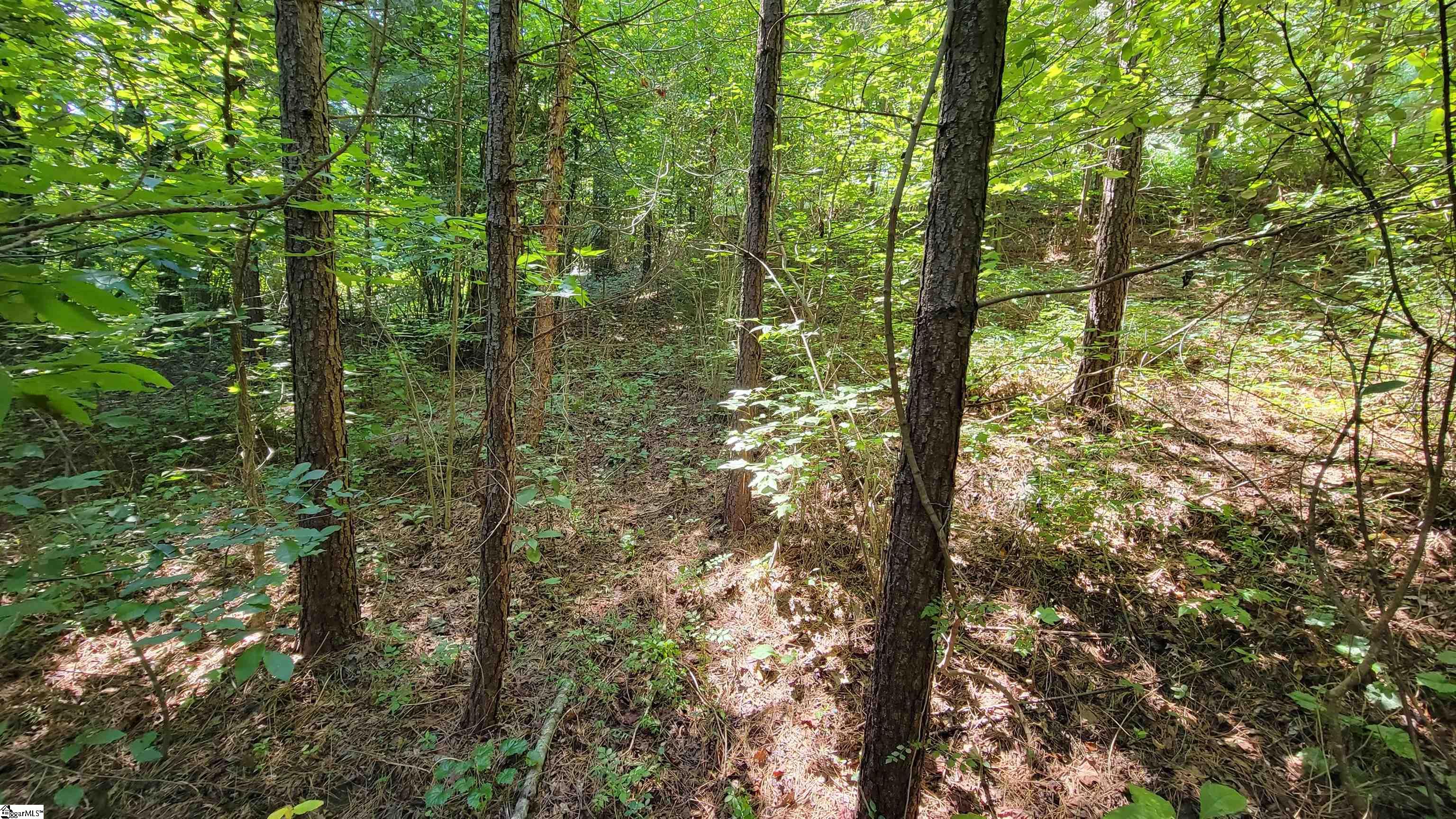 208 Wedge Way Travelers Rest, SC 29690 - Photo 8 of 23
