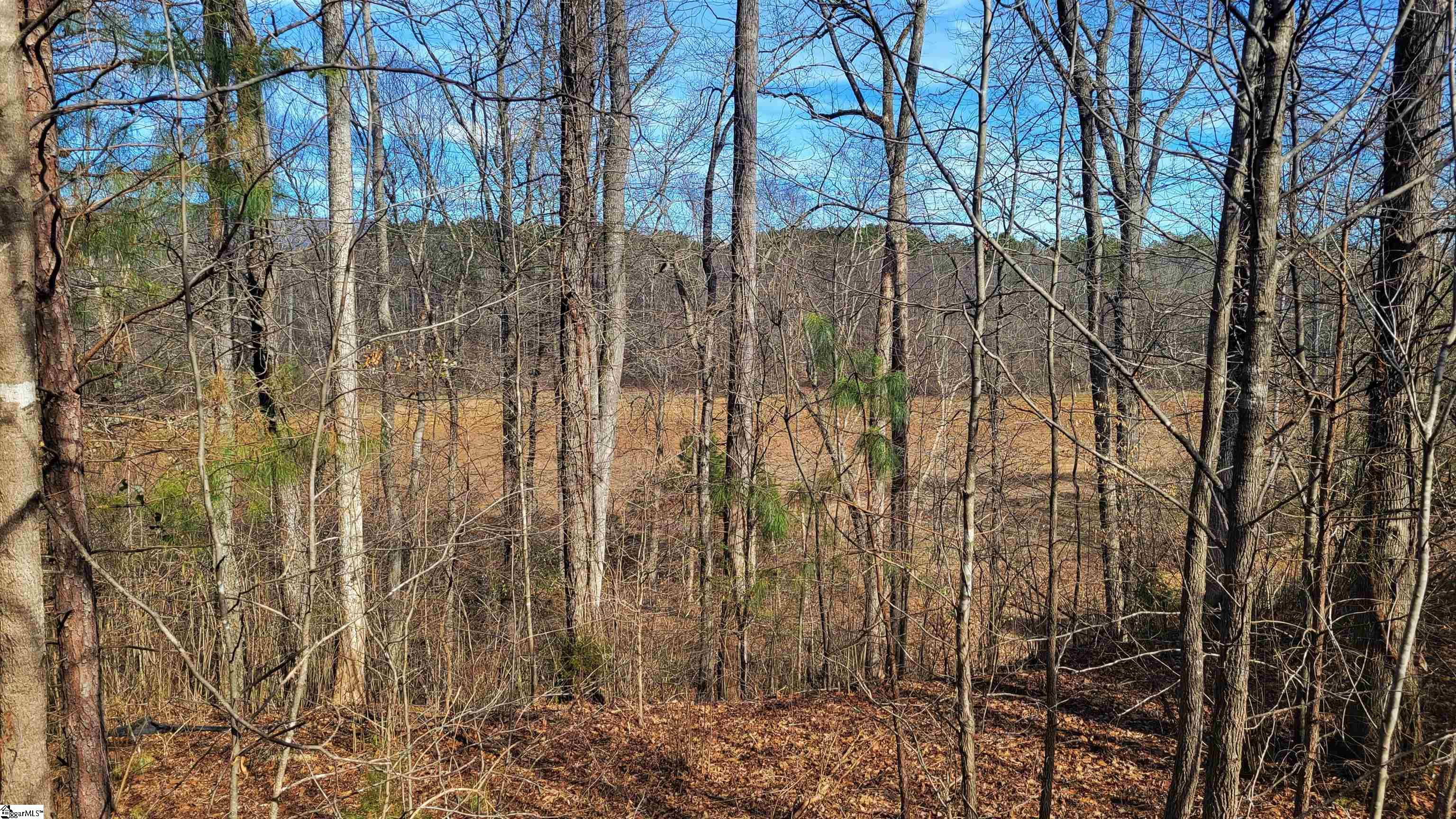 208 Wedge Way Travelers Rest, SC 29690 - Photo 9 of 23 Winter View