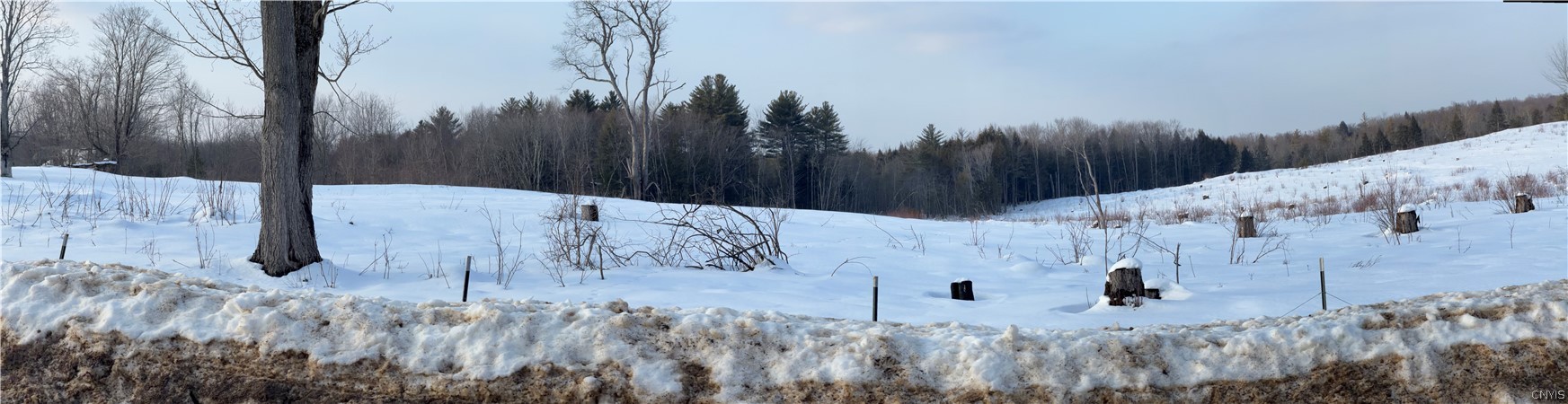 208 County Rte 28 Pulaski, NY 13142 - Photo 3 of 6