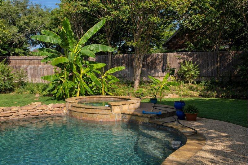 6504 Genoa Road Fort Worth, TX 76116 - Photo 40 of 40 Pool in the summer time when the banana trees are not dormant.
