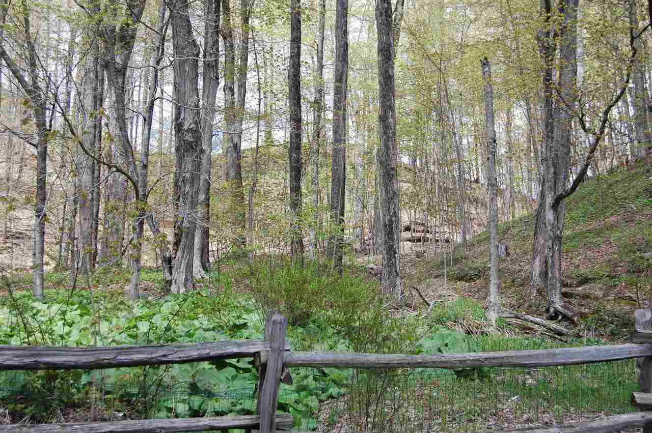 1654 Lincoln Gap Road Warren, VT 05674 - Photo 4 of 35