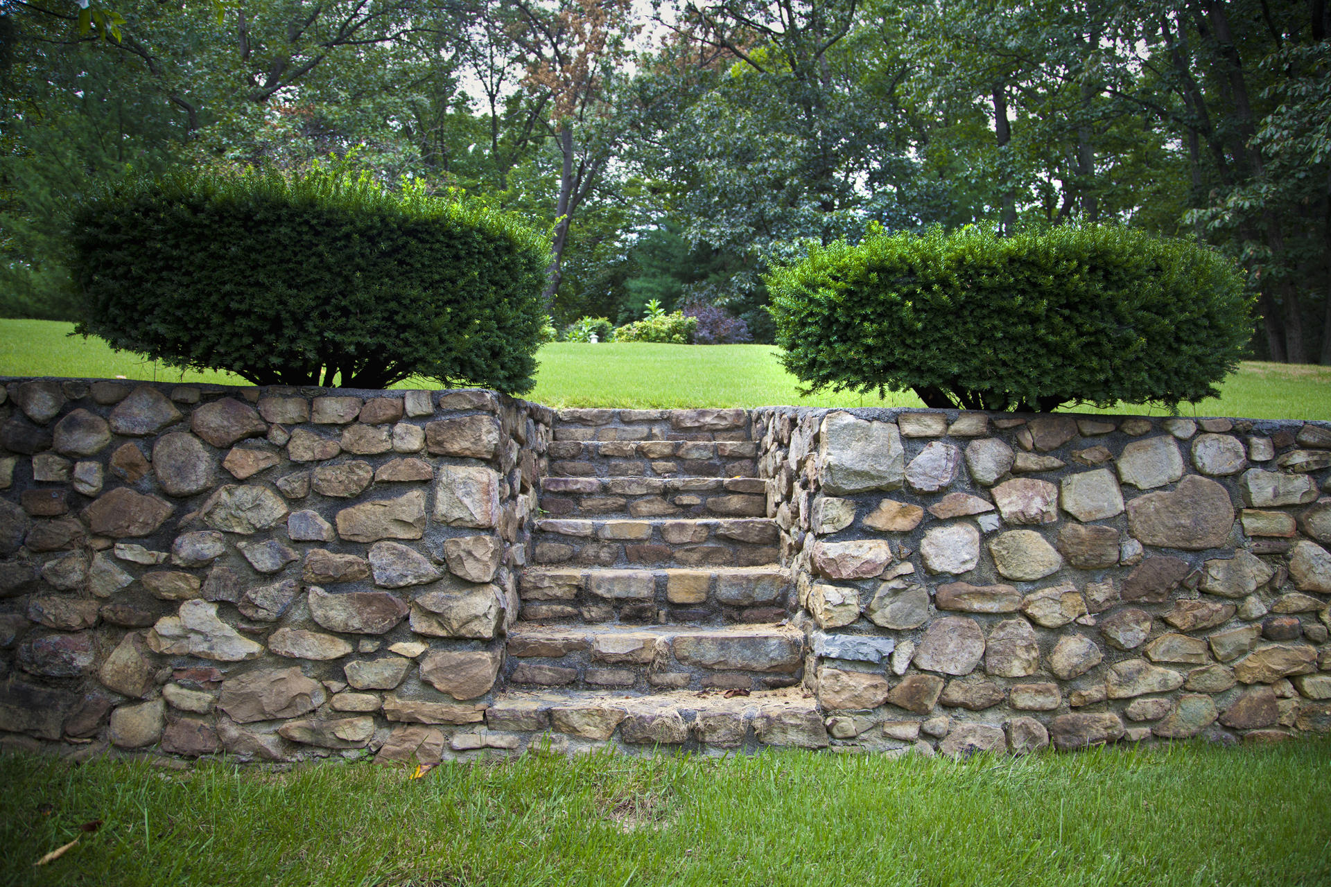 2158 Ruritan Road Roanoke, VA 24012 - Photo 17 of 25 Yard