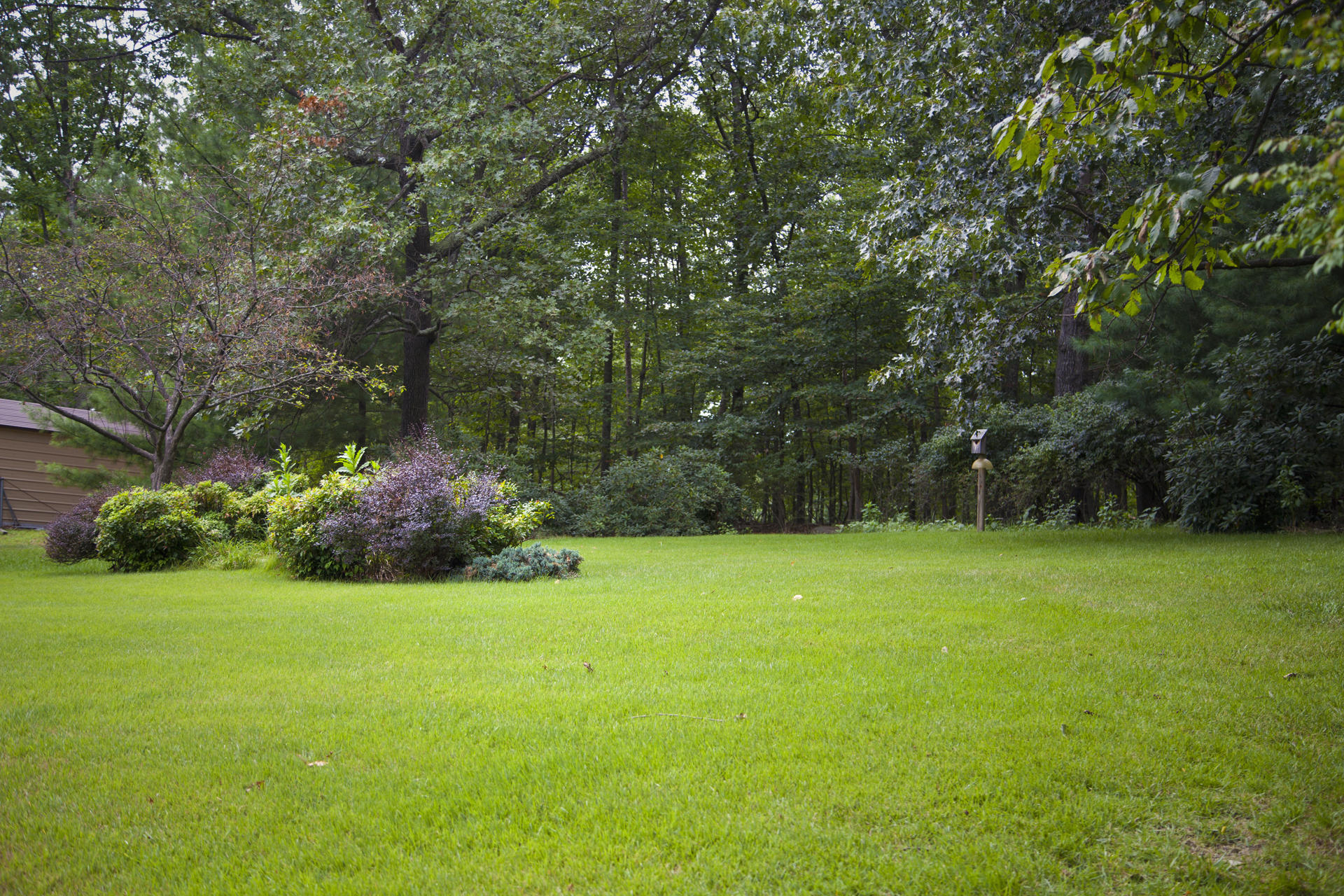 2158 Ruritan Road Roanoke, VA 24012 - Photo 20 of 25 Yard
