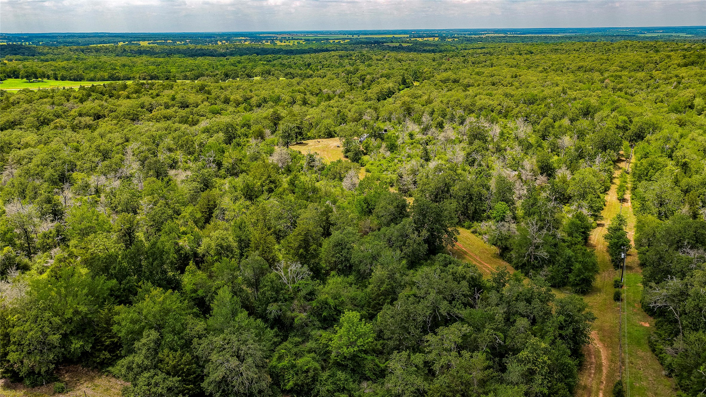1470 22 Hills Road Gause, TX 77857 - Photo 25 of 35 Vast, verdant woodlands offer a private, natural setting with open clearings.