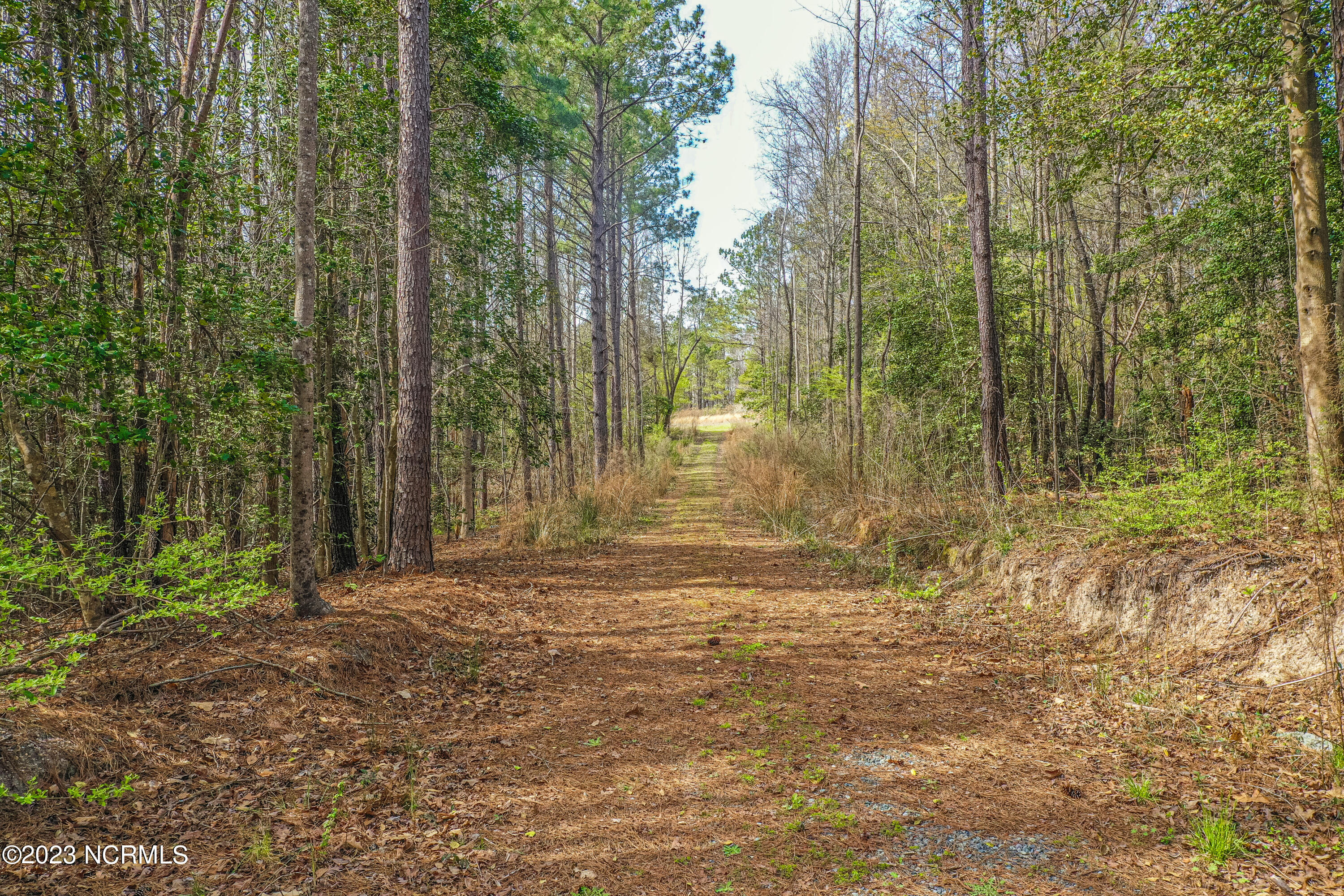 140 Hardy Road Carthage, NC 28327 - Photo 3 of 7 Driveway