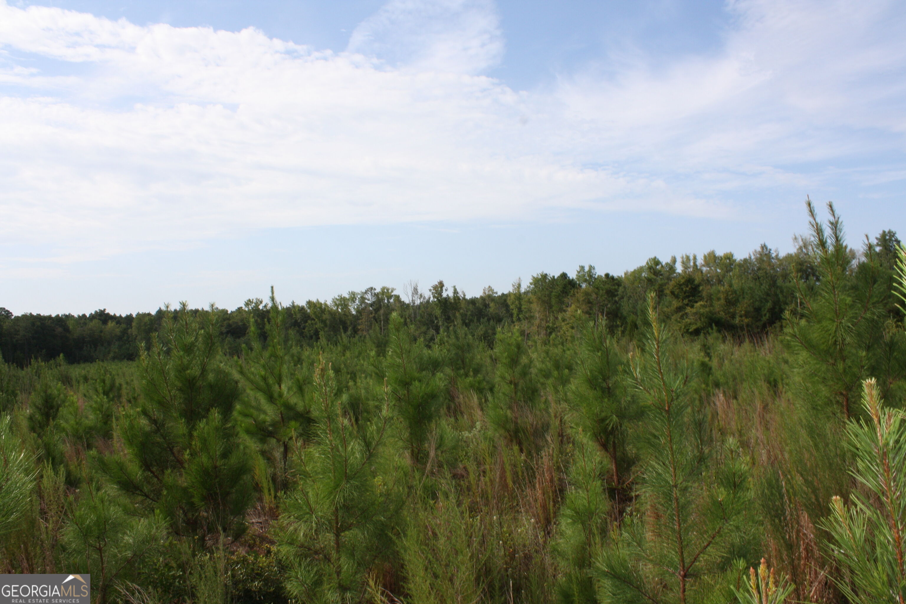 0 Balerma Church Road, Unit TRACT 1 Sparta, GA 31087 - Photo 12 of 21 Gallery Image 12