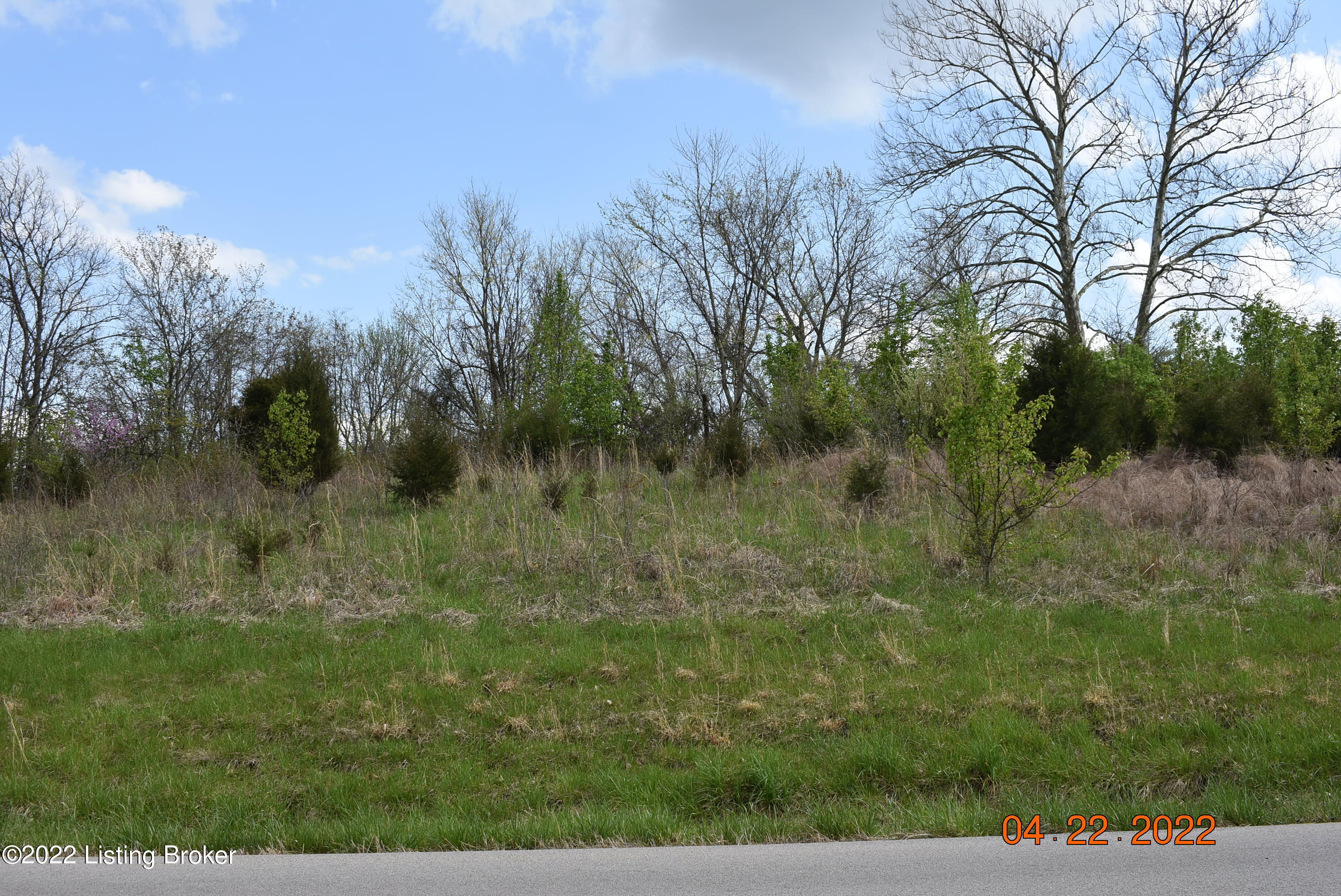 1 Hickory Ridge Road Waddy, KY 40076 - Photo 6 of 9 DSC_0289