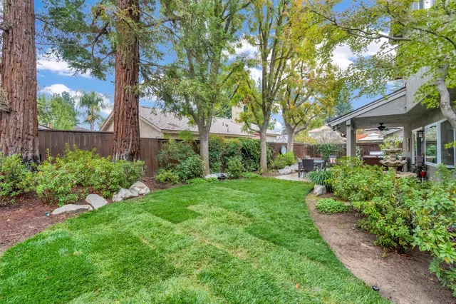 a view of a garden with a tree