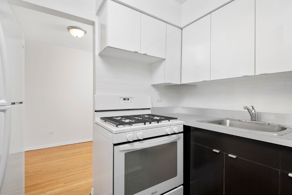 450 West Melrose Street, Unit 239 Chicago, IL 60657 - Photo 5 of 10 a kitchen with granite countertop stainless steel appliances a sink dishwasher and stove