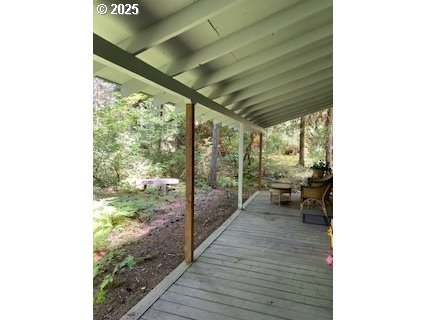 64 Northwoods Cougar, WA 98616 - Photo 13 of 22 a outdoor space with lots of trees in front of it