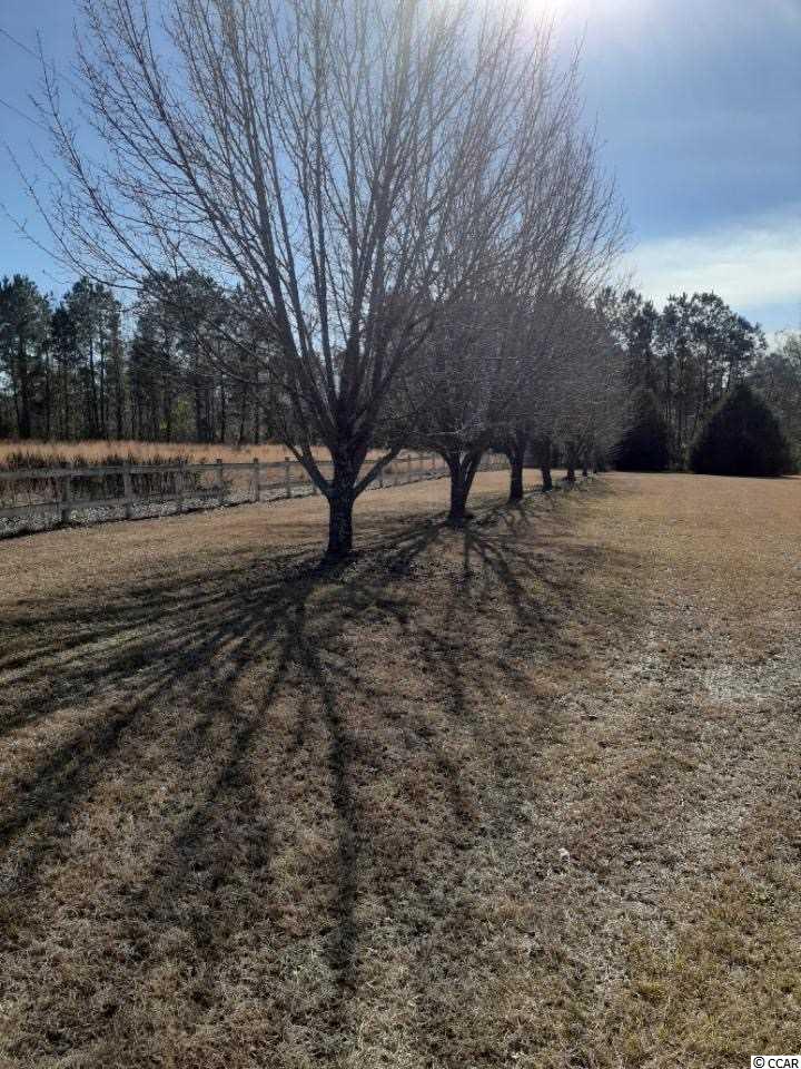 1468 Cane Branch Road Loris, SC 29569 - Photo 13 of 30 Gallery Image 13
