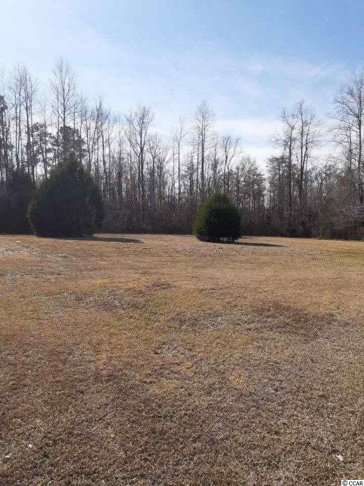 1468 Cane Branch Road Loris, SC 29569 - Photo 28 of 30 Gallery Image 28