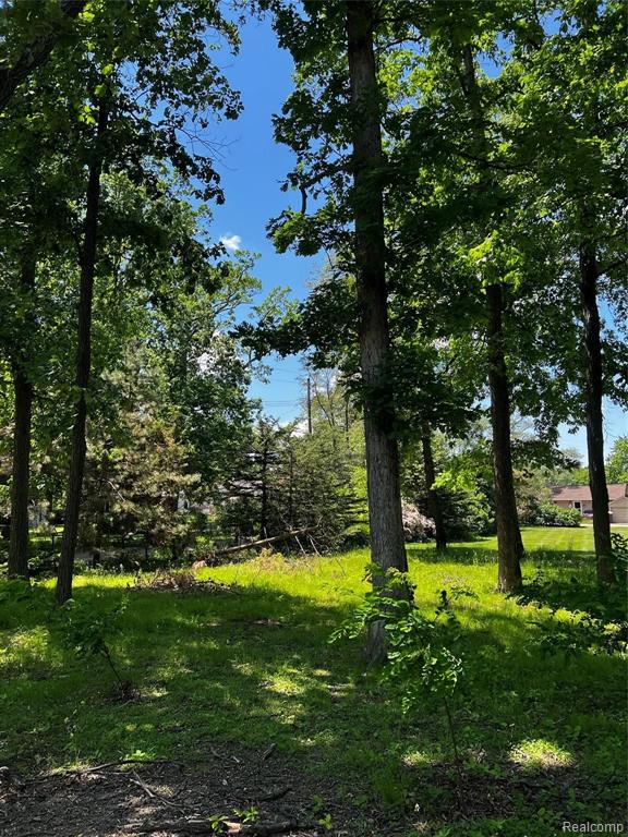 0 Edgewater Drive Brighton, MI 48116 - Photo 4 of 14