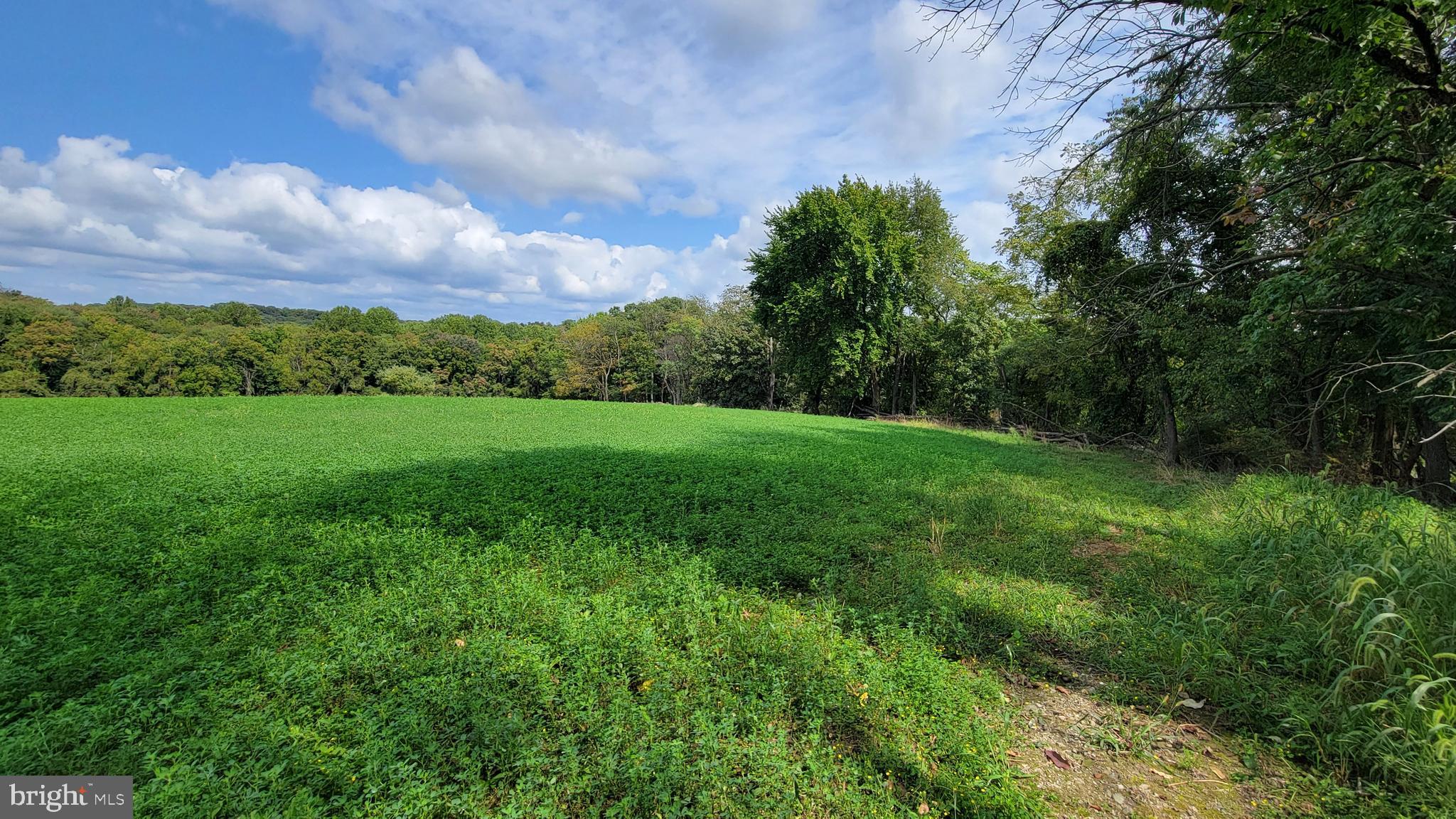 5311 Woodville Road Mount Airy, MD 21771 - Photo 11 of 27 a view of grassy field with trees