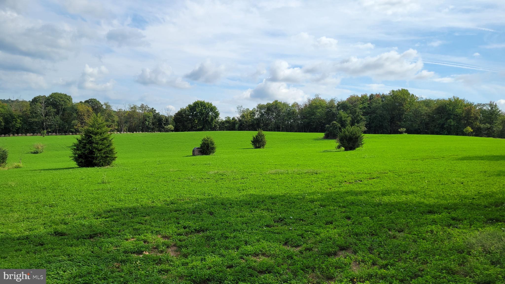 5311 Woodville Road Mount Airy, MD 21771 - Photo 20 of 27 a view of field with green space
