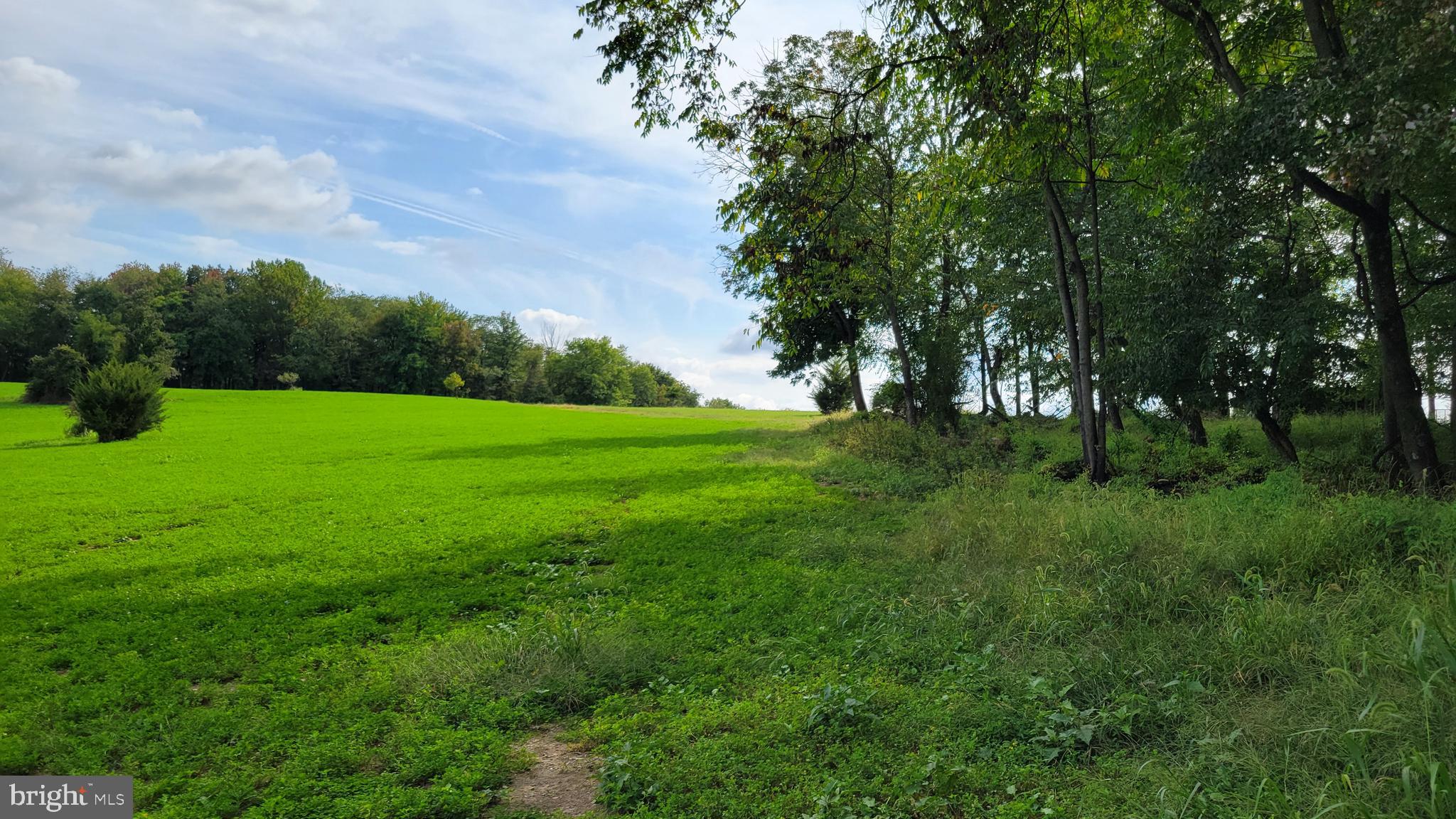 5311 Woodville Road Mount Airy, MD 21771 - Photo 21 of 27 a view of grassy field with trees