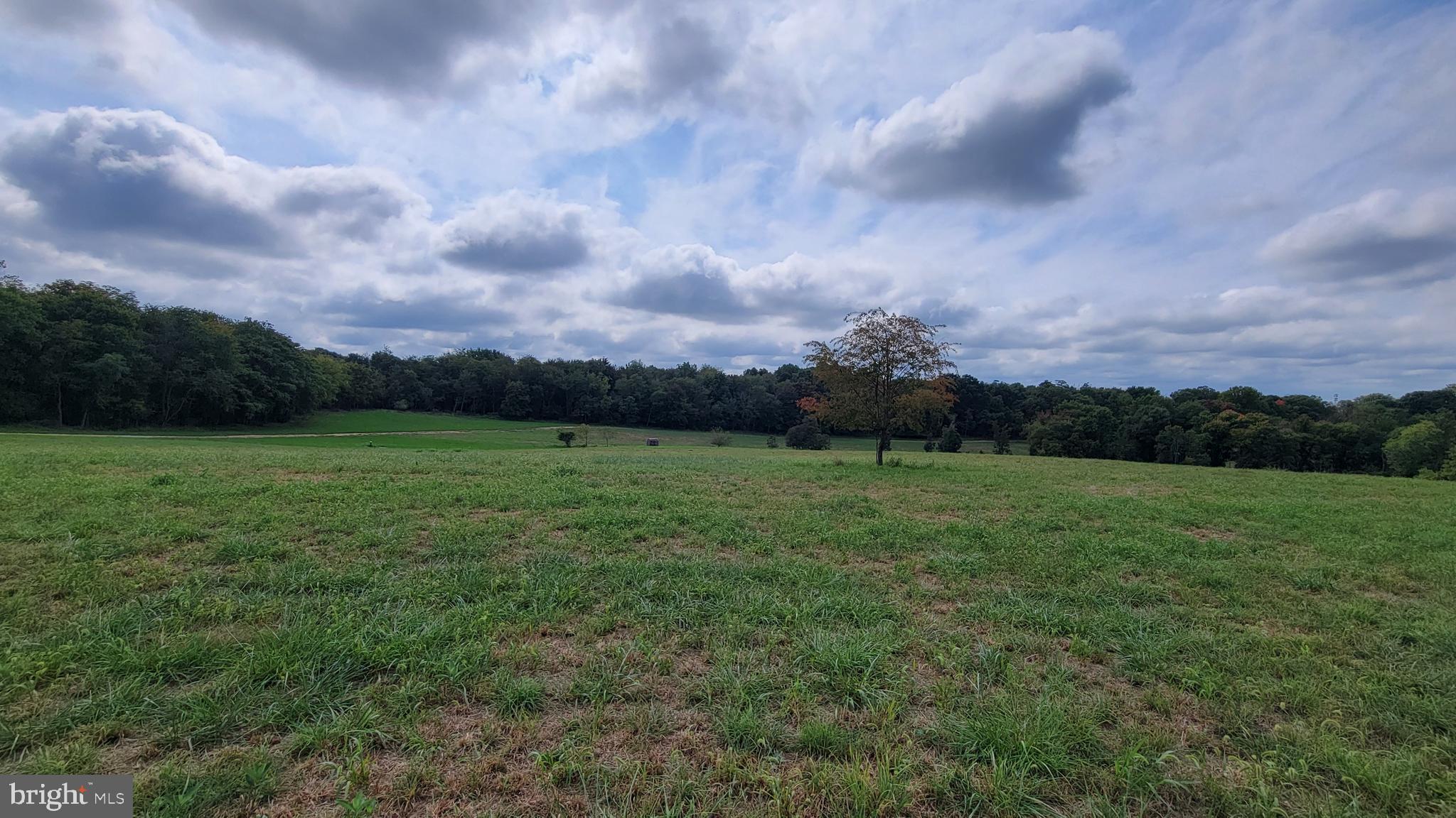 5311 Woodville Road Mount Airy, MD 21771 - Photo 24 of 27