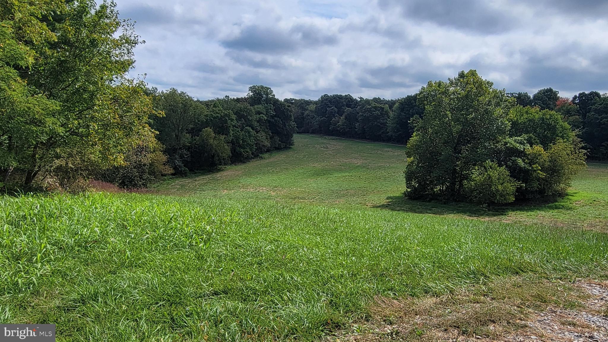 5311 Woodville Road Mount Airy, MD 21771 - Photo 5 of 27 a view of a garden